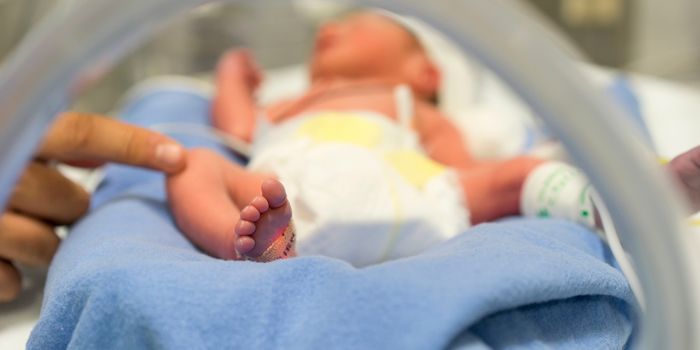 Premature baby SIDS risk