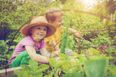 This Is Why You Should NEVER Use Weedkiller In Your Garden