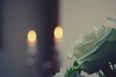 Sienna Joyce (5) Died After a Gate Fell On Top of Her When She Was Playing Outside