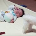This Puppy Has Figured Out How to Hush A Crying Baby
