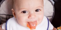 How to make a week’s supply of baby food in an hour