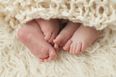 Absolute Hero Gives Birth To Six Babies in TWO YEARS