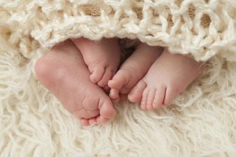 Absolute Hero Gives Birth To Six Babies in TWO YEARS