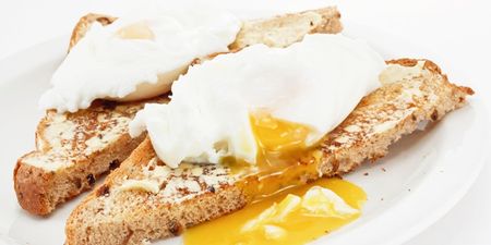 Raw British Eggs Declared ‘Safe For Pregnant Women’