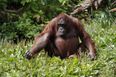 5 Reasons To Take The Kids On A Day Trip To Dublin Zoo