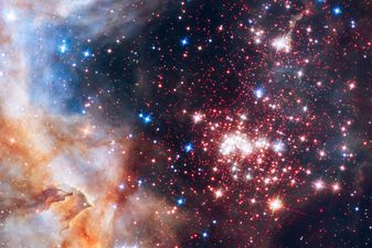 Have Any Budding Star Gazers At Home? They’ll Love This Tonight!