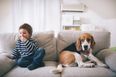4 things you need to seriously consider before you agree to getting a dog