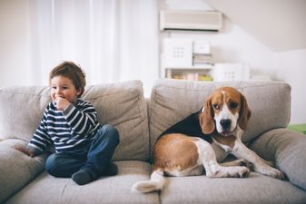 4 things you need to seriously consider before you agree to getting a dog