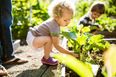 The Irish Pre-Schools Where Kids Go ‘Free-Range’