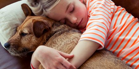 More Kids, More Pets, More Happiness?