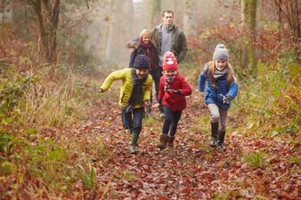 Get out there: 5 perfect winter forest walks for the family