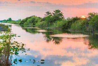 Irish mums and dads abroad: we moved the family to Florida