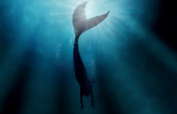 A Mermaid Academy Exists And Suddenly 2016 Has Redeemed Itself Massively