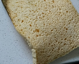 The Mystery Of The Spongebread Continues And We Are A Holy Show