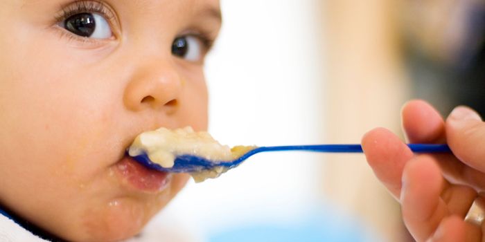 Many babies are started on solids too early, claims study