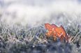 The weather will clear up today – but not for long