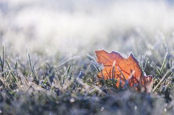 The weather will clear up today – but not for long