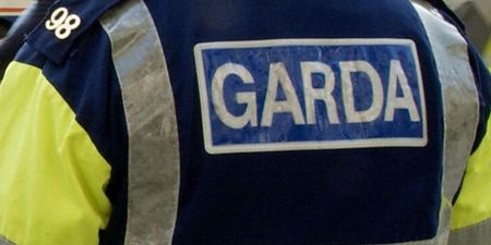 Gardaí Appeal For Help To Find Missing Dublin Teen