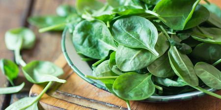 Panic Now: There Is A Serious Spinach Shortage Happening