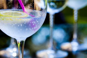 There Was ALMOST A Gin Shortage Crisis, But It’s Been Averted (Sighs Of Relief Everywhere)