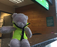 “Help me find my owner” – Cork airport’s adorable appeal to find this teddy’s companion