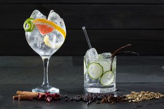 We went to GIN SCHOOL and here’s what happened…