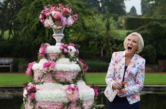 Guess who’s replacing Mary Berry on GBBO? (Hint: it’s a PRUdent choice)