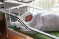 Midwife fired for Facebook messaging a new dad about the birth of his baby