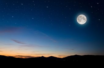 Have scientists just found proof of alien life?