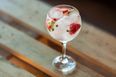 Galway’s first gin bar has opened and we’re planning a road trip