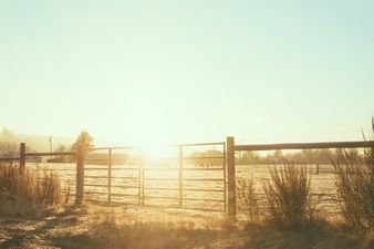 A 4-year-old boy has tragically died as a result of a farm accident