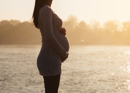 pregnant women law
