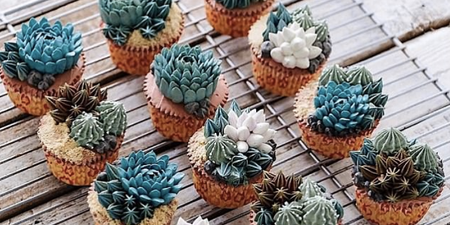 Cactus cakes are trending and they are combining our two most favourite things