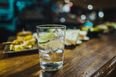 New research suggests that drinking gin can actually speed up your metabolism