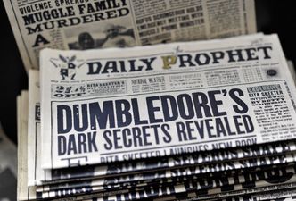 The new Dumbledore in Fantastic Beasts has been revealed