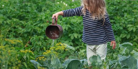 6 lessons I learned about life from gardening with my children
