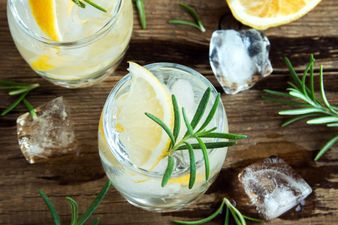 Aldi is bringing out gin and tonic ice lollies just in time for the long weekend