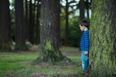 Search launched after dad ‘leaves son in the woods for over 24 hours’