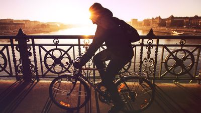 Fit dads influence the mental health of their sons BEFORE they’re conceived