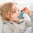 Just seven percent of asthmatics know all the symptoms of an attack, survey finds
