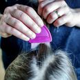 This mum’s post sums up how we all feel about head lice