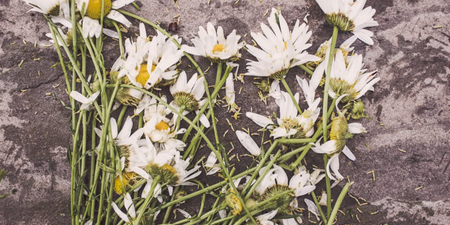 Dying could be nicer than you’d think, according to research