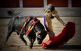 Matador ‘trips on his cloak’ and is fatally gored during a French bullfight