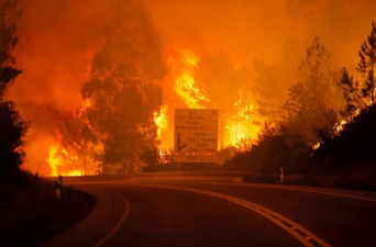 ‘The greatest tragedy of recent years:’ Forest fires in Portugal kill 60