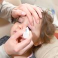 Scientists find link between household chemicals and birth defects in mice