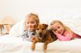 Co-sleeping with your kids (and pets) has its benefits