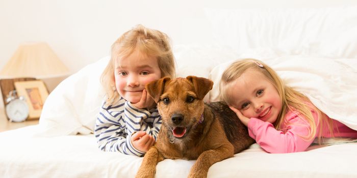 kids and pets in bed
