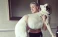 This new Instagram fitness craze involves our favourite furry friends