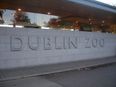 AMAZING! Dublin Zoo have shown off the inside of its T-Rex exhibit