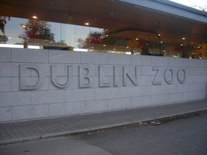 AMAZING! Dublin Zoo have shown off the inside of its T-Rex exhibit